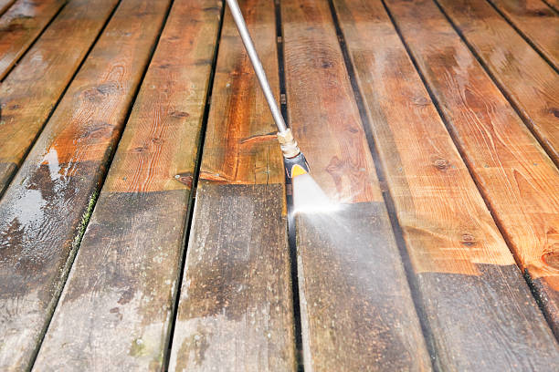 Best Dumpster Area Cleaning  in Harbor Springs, MI